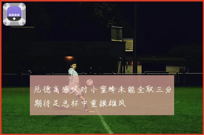 厄德高感叹对小蜜蜂未能全取三分期待足总杯中重振雄风