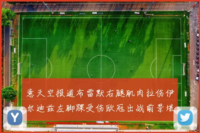 意天空报道布雷默右腿肌肉拉伤伊尔迪兹左脚踝受伤欧冠出战前景堪忧