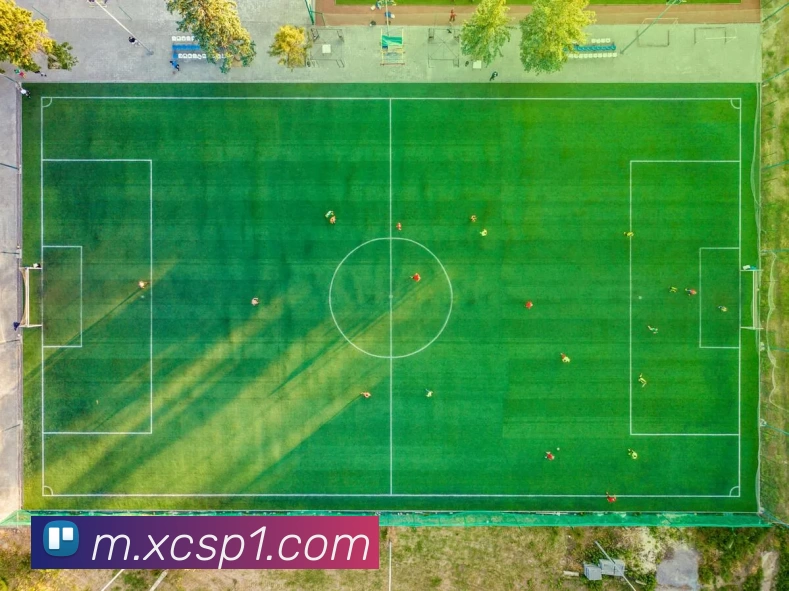 杏彩体育品牌故事