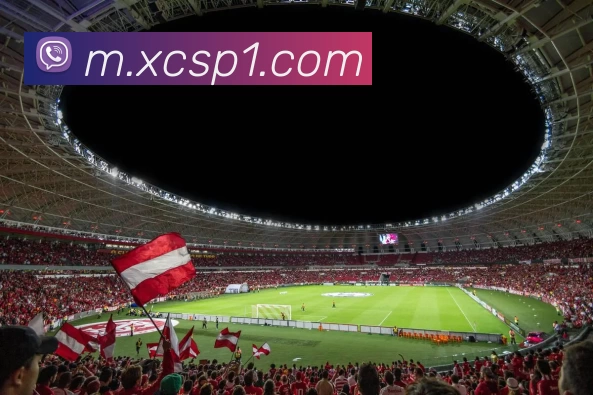 杏彩体育服务体系